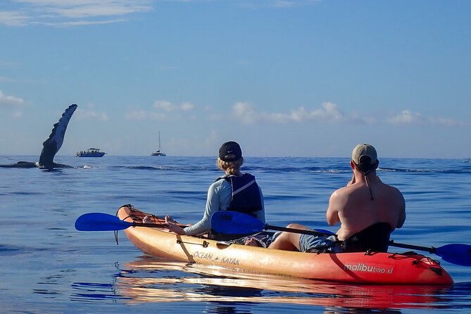 Kayak and Whale Watching Tour - Who this trip fits best (and who should think twice)