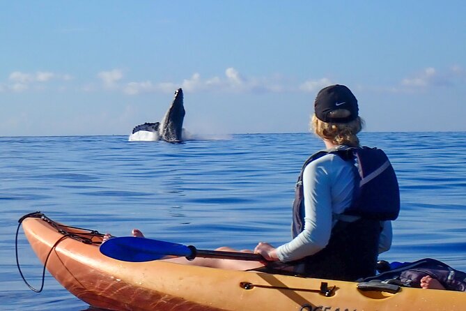 Kayak and Whale Watching Tour - How the 3-hour kayak time typically plays out on the water