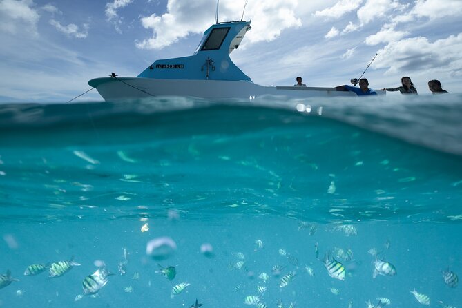 Kayak, Snorkel, and Surf with Turtles in Honolulu - Why This Honolulu Combo Tour Fits Waikiki So Well