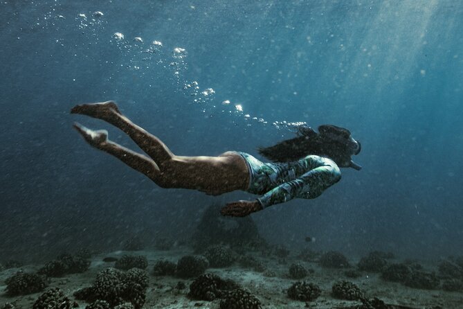 Kayak, Snorkel, and Surf with Turtles in Honolulu - Price and Value: What $200 Covers (and Why It’s Not Just a “Cheap Combo”)