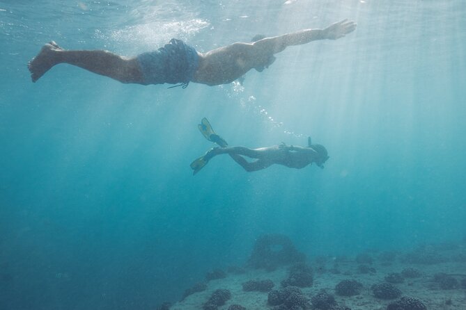 Kayak, Snorkel, and Surf with Turtles in Honolulu - Transportation and Timing: Hotel Pickup That Keeps Your Day Moving