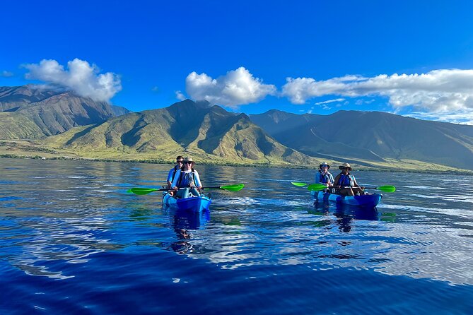 Kayak & Turtle Town Snorkel(Turtles Guaranteed) + Whale Watching - Quick highlights you’ll care about