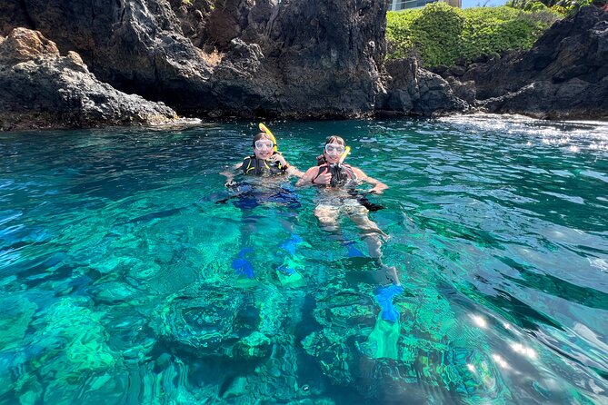 Kayak & Turtle Town Snorkel(Turtles Guaranteed) + Whale Watching - Whale watching from a kayak: quieter sightings, less crowd pressure