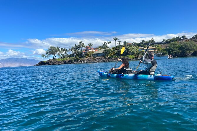Kayak & Turtle Town Snorkel(Turtles Guaranteed) + Whale Watching - Timing, weather, and why rough seas can matter more than you think