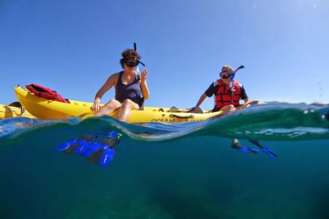 Kayak, Whale Watch and Snorkel - Key highlights you’ll actually care about