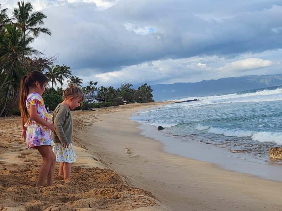 Kevo's Beach Bus - Pipeline Beach: Winter Surf Watch vs Spring-Summer Swim Time