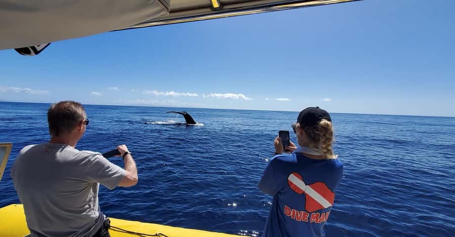 Lahaina: Day or Sunset Whale Watching Tour with Naturalist - Entering Lahaina’s whale sanctuary world from Front Street