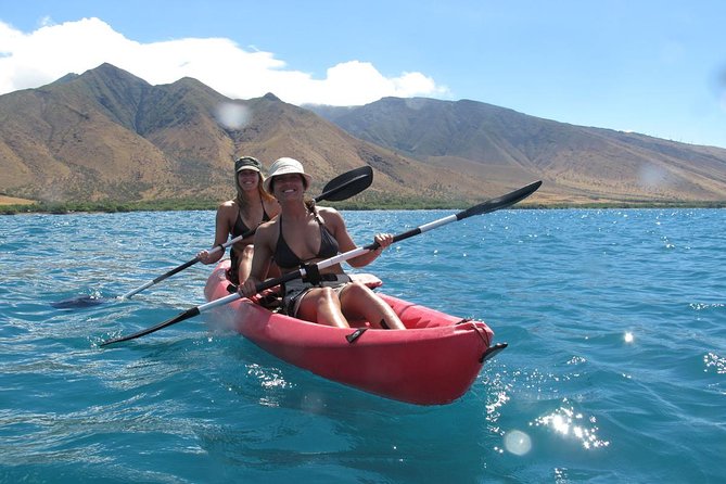 Lahaina Kayak and Snorkel Excursion - Meeting at 505 Front St and getting checked in