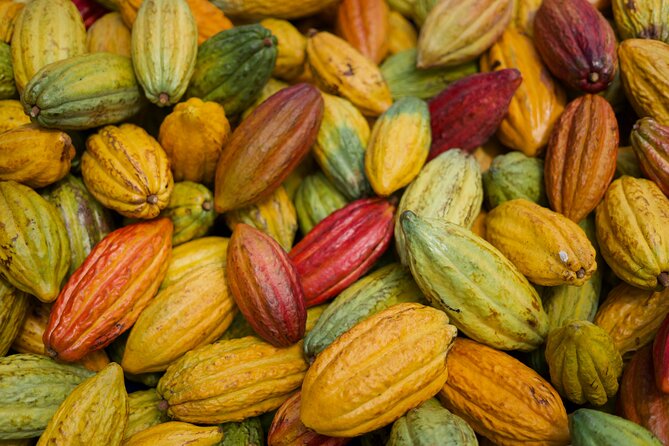 Lahaina: Maui Ku'ia Estate Guided Cacao Farm Tour and Tasting - Small-group size and the van situation: comfort vs. crowding