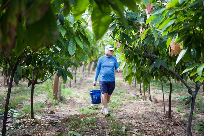 Lahaina: Maui Ku'ia Estate Guided Cacao Farm Tour and Tasting - Who should book this cacao farm tour (and who should skip it)