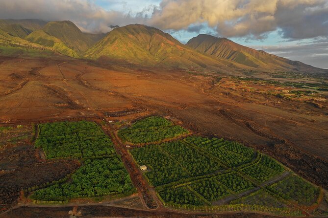 Lahaina: Maui Ku'ia Estate Guided Cacao Farm Tour and Tasting - Timing, tickets, and what to do before you go