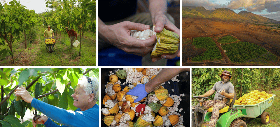 Lahaina: Maui Ku'ia Estate Guided Cacao Farm Tour & Tasting - Price at $99: does it make sense for what you’re getting?