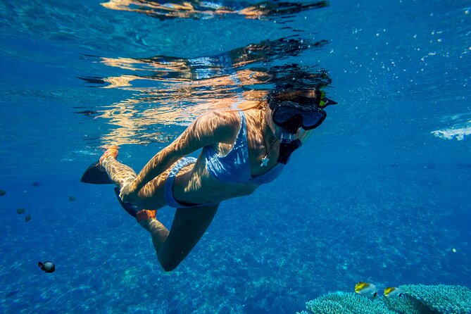 Lāna'i Coast Snorkel and Sail - Timing That Works: 9:30 to About 2:30