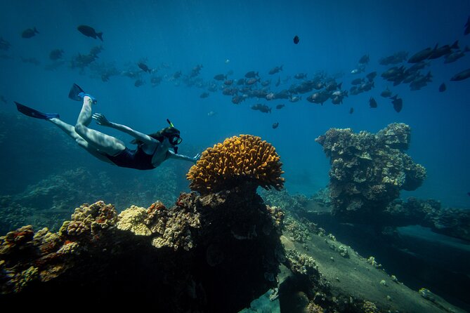 Lāna'i Coast Snorkel and Sail - Price and Value: What $216.22 Covers