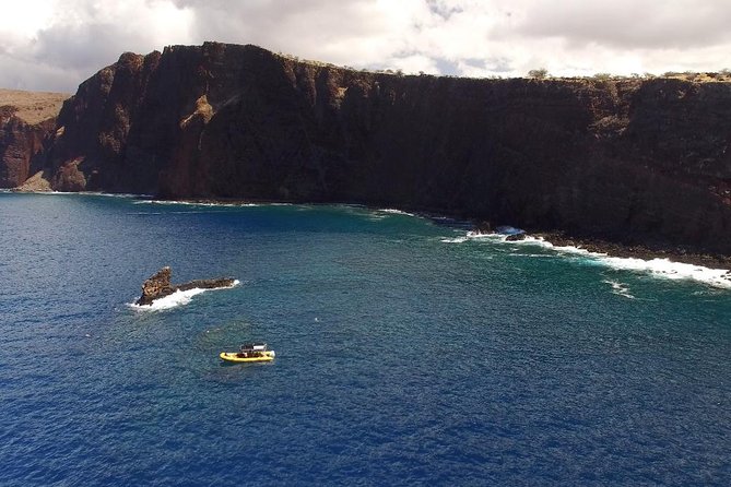 Lanai Deluxe Dolphin Adventure & 3 Snorkel Sites - Quick Takeaways for Lanai Dolphin and Snorkel Days