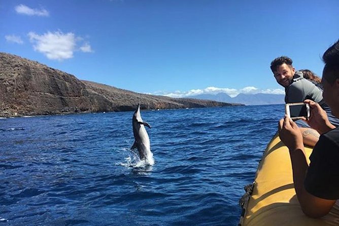 Lanai Deluxe Dolphin Adventure & 3 Snorkel Sites - From Mala Boat Ramp to Lanai: the speed-first ride