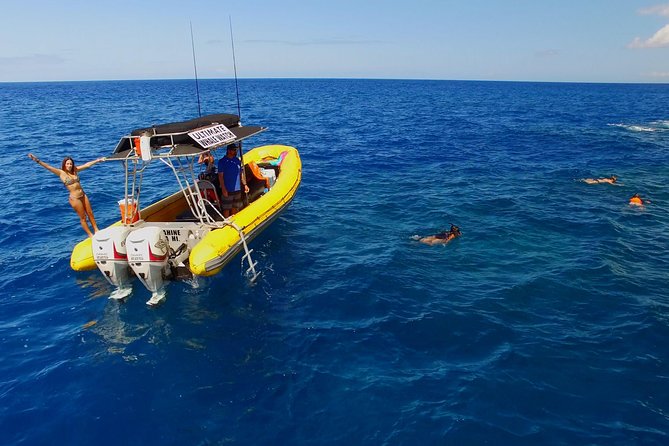 Lanai Deluxe Dolphin Adventure & 3 Snorkel Sites - The Stop-by-Stop Flow Around Lanai (and why it works)