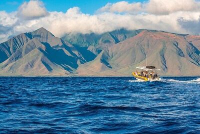 Lanai Deluxe Dolphin Adventure & 3 Snorkel Sites - Reef Time Off Lanai: what you’ll see in 2–3 snorkel stops
