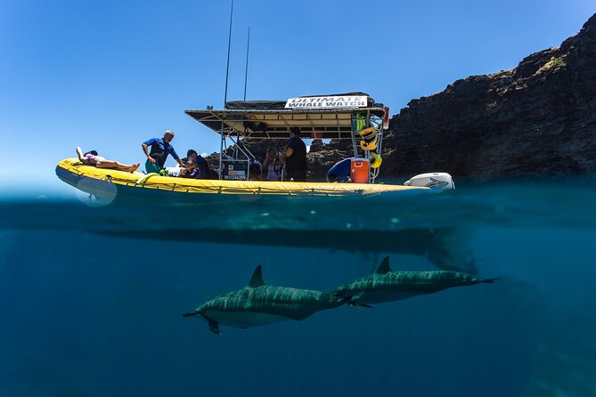 Lanai Deluxe Dolphin Adventure & 3 Snorkel Sites - Crew and Dolphin-Spotting: why the names keep coming up