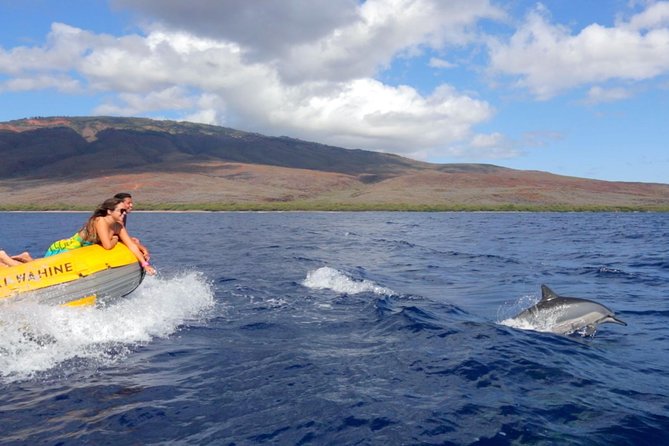 Lanai Deluxe Dolphin Adventure & 3 Snorkel Sites - Price and Value at $200: what you’re really paying for