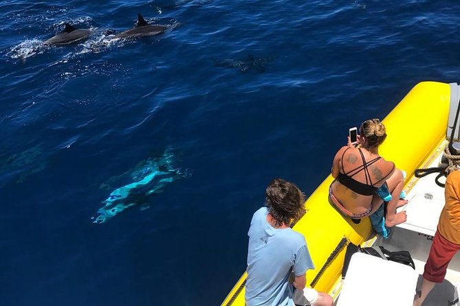 Lanai Deluxe Dolphin Adventure & 3 Snorkel Sites - Before You Go: packing list and mindset for a Maui-to-Lanai day