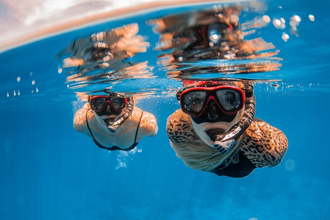Lana'i Snorkel And Dolphin Quest with Maui Turtle Spot Tour - Weather, seas, and snorkeling reality: what you can and can’t control