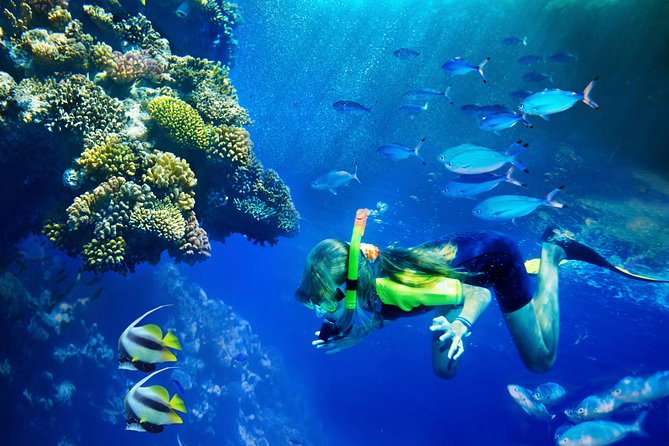 Lanai Snorkel and Dolphin Watch from Maalaea - Getting to Lanai from Maalaea: the 5-hour flow that makes it work