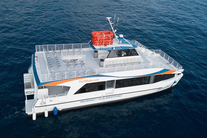 Lanai Snorkel and Dolphin Watch from Maalaea - Food, drinks, and the onboard “comfort package”