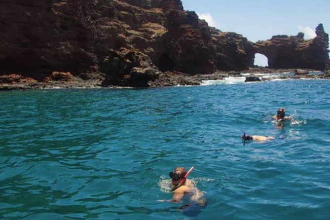 Lanai Snorkel and Dolphin Watch from Maalaea - Price and value: when $183.25 makes sense