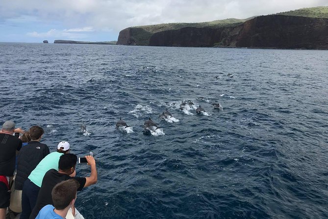 Lanai Snorkel and Dolphin Watch from Maalaea - Dolphin watch off Lanai: spinner dolphins can steal the show