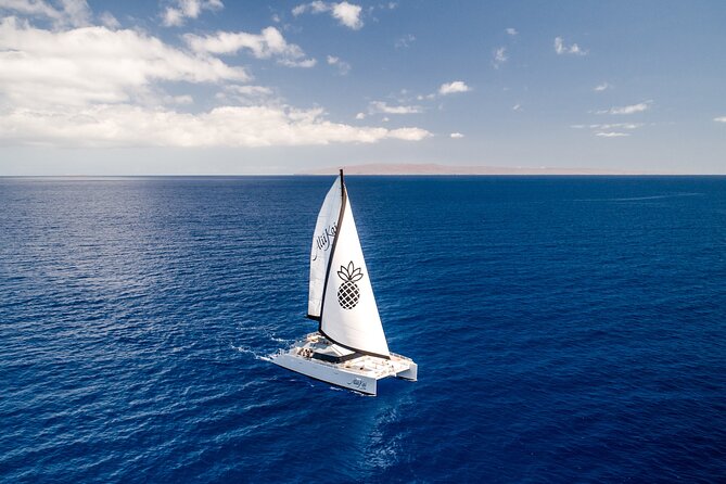 Luxury Catamaran Royal Sunset Dinner Sail (Adults-Only) - Key Things I’d Focus on Before Booking