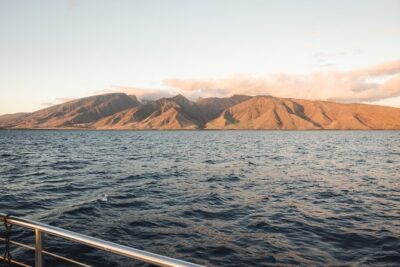 Luxury Catamaran Royal Sunset Dinner Sail (Adults-Only) - The Open Bar Reality: What You’re Really Buying