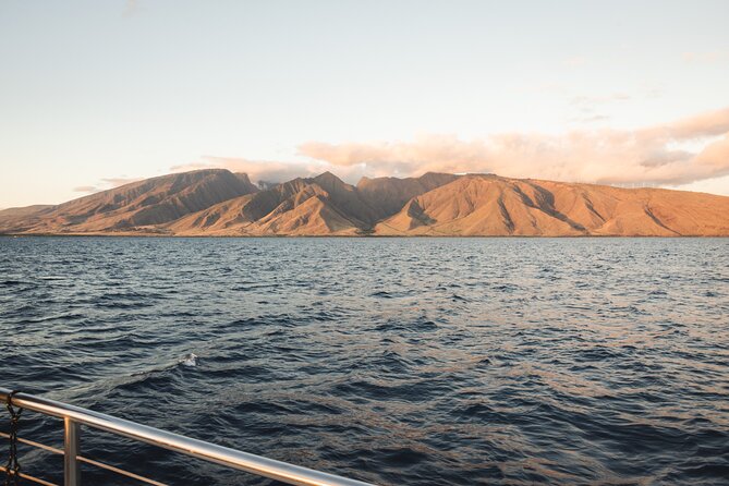 Luxury Catamaran Royal Sunset Dinner Sail (Adults-Only) - The Open Bar Reality: What You’re Really Buying