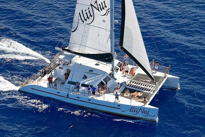 Luxury Catamaran Whale Watch - What you do on the water: 2 hours of whale spotting, plus audio tracking