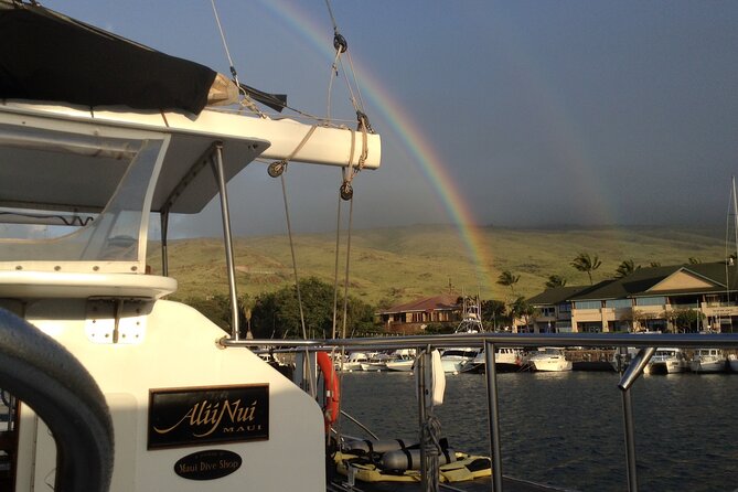 Luxury Catamaran Whale Watch - Captains who keep distance: why whale rules affect your experience