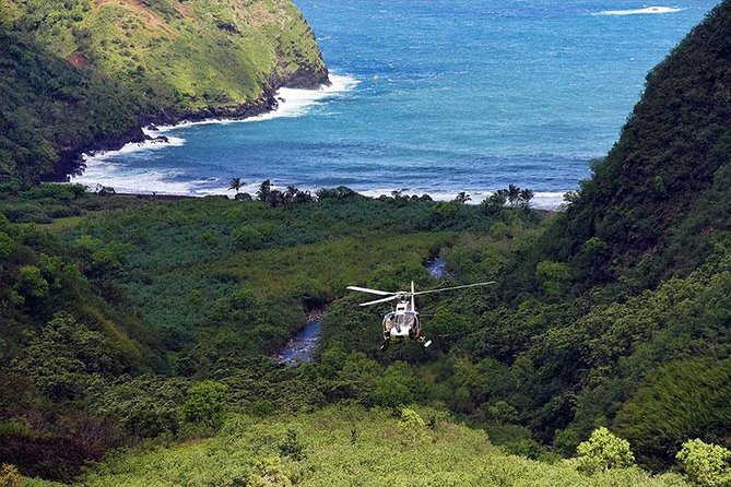 Luxury Helicopter Experience with Hana Rainforest Landing - Timing, comfort, and the reality of weight limits
