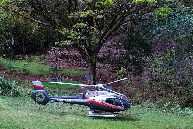 Luxury Helicopter Experience with Hana Rainforest Landing - Weather planning: when the rainforest can’t be the plan