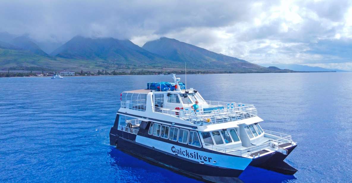 Ma'alaea Harbor: Whale Watching Tour Aboard Power Catamaran - Maalaea Harbor and a Double-Deck Boat That Makes Sighting Easier