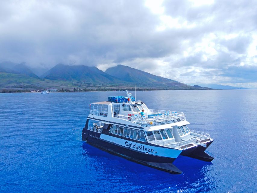 Ma'alaea Harbor: Whale Watching Tour Aboard Power Catamaran - Underwater Hydrophone: How the Songs Change the Mood of the Trip