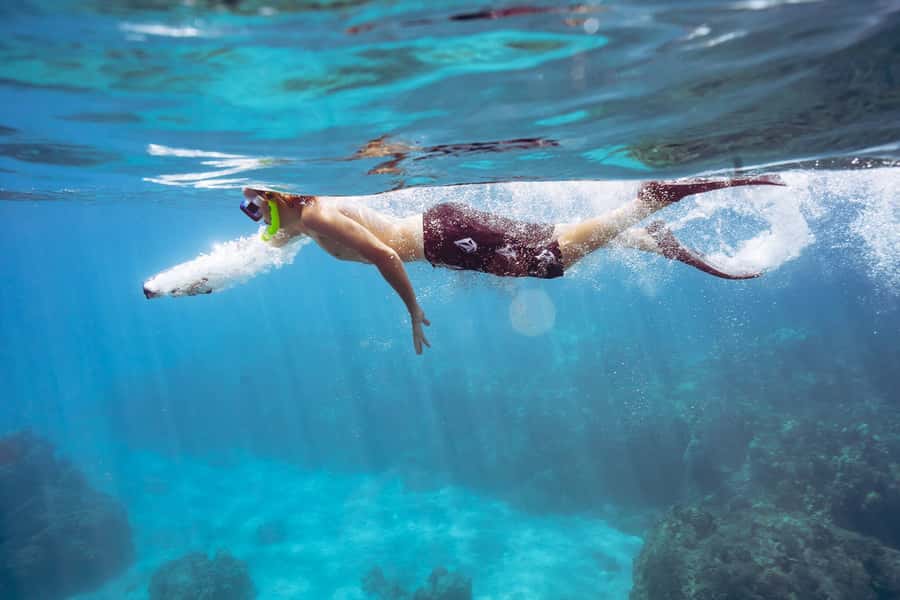 Maalaea: West Maui Snorkeling & Sailing Day Trip with Lunch - Key points at a glance