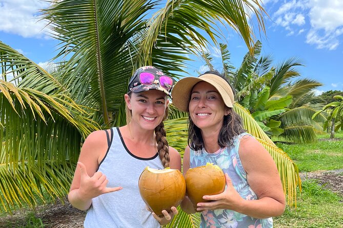 Macnut Tour, Picnic lunch and Maui Bees - Quick hits before you go