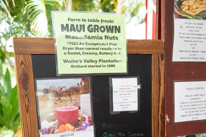 Macnut Tour, Picnic lunch and Maui Bees - Should You Book the Macnut Tour, Picnic Lunch and Maui Bees?