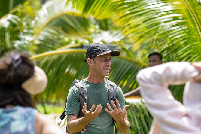 Macnut Tour, Picnic lunch and Maui Bees - Crops, Compost, and the Regenerative Story You Can Actually Use