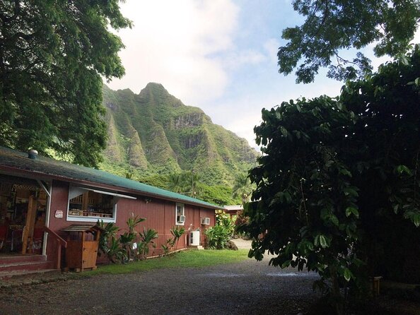 Majestic Circle Island Tour with Lunch - Circle Island in One Day: What This Tour Actually Delivers