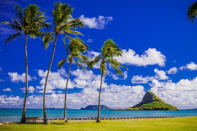 Majestic Circle Island Tour with Lunch - Dole Plantation Finale: North Shore Sights and DoleWhip as a Treat
