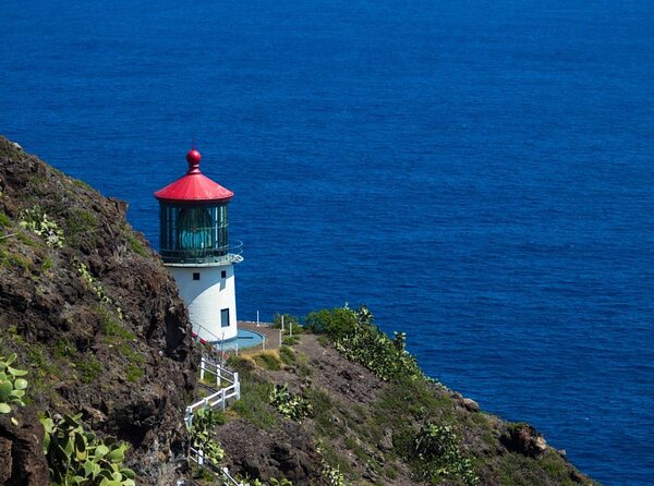 Makapu’u Lighthouse Trail and Shuttle Service - Waikiki to Makapu’u: Why this day feels so efficient