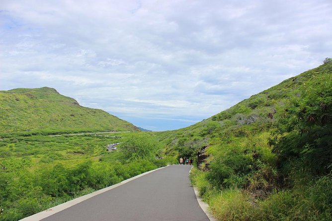 Makapu’u Lighthouse Trail and Shuttle Service - Whale watching while you hike: When and how to spot humpbacks