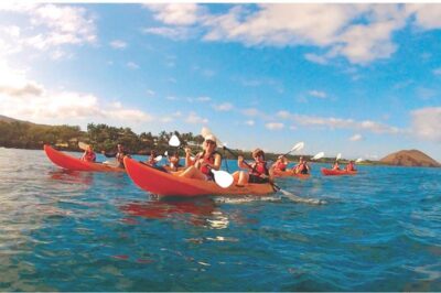 Makena Turtle Town Eco Adventure in Maui - Turtle Town snorkel time: Two reef stops, one big goal
