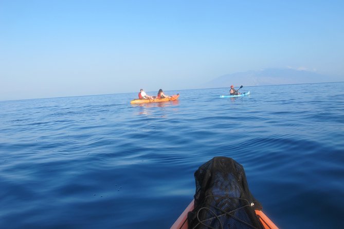 Makena Turtle Town Eco Adventure in Maui - The itinerary in real human terms (what each part feels like)