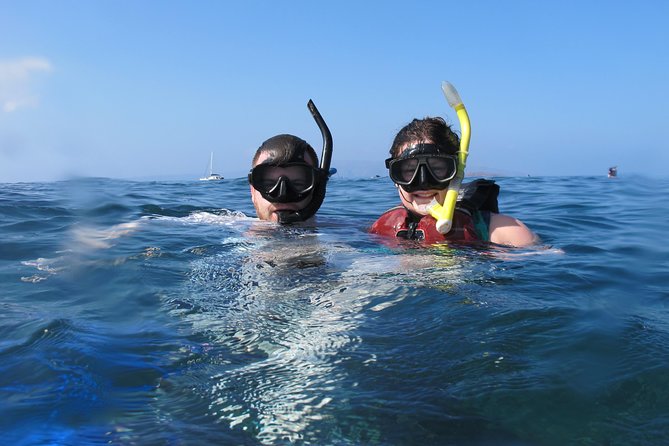 Makena Turtle Town Eco Adventure in Maui - Who should book this (and who should skip it)
